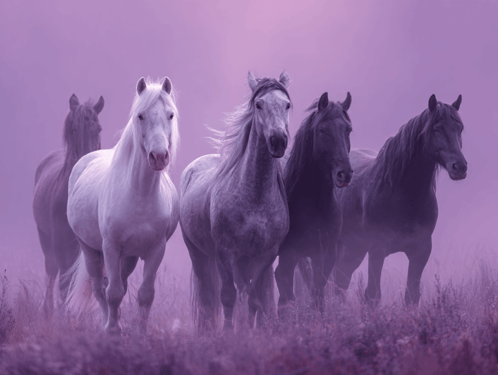 سوارکاری در رویا